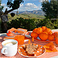 B&B Andalusi&euml;