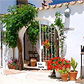 B&B nabij Malaga, Andalusië, Spanje