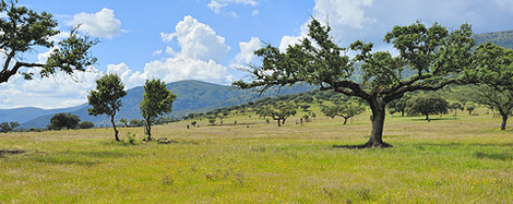 Landschap Extremadura