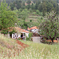 Vakantiehuizen Canarische Eilanden, La Palma